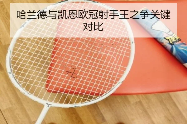 哈兰德与凯恩欧冠射手王之争关键对比